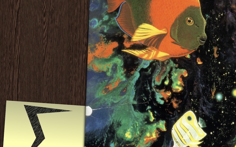 Screenshot of The Folder